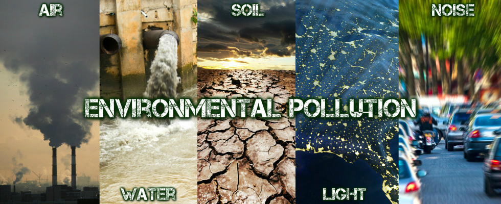 what happens to contaminants and environmental pollution
